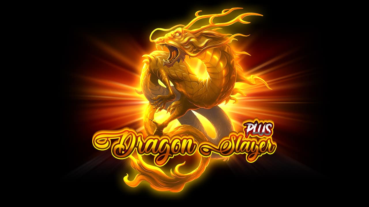 Dragon Slayer Plus game artwork
